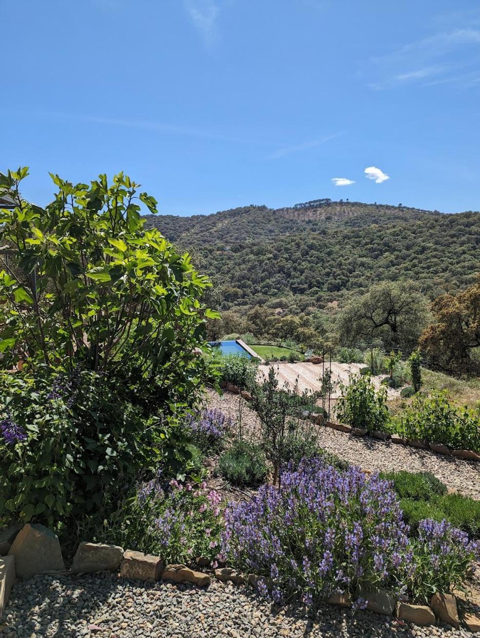 Finca Bravo Cortegana Dış mekan fotoğraf