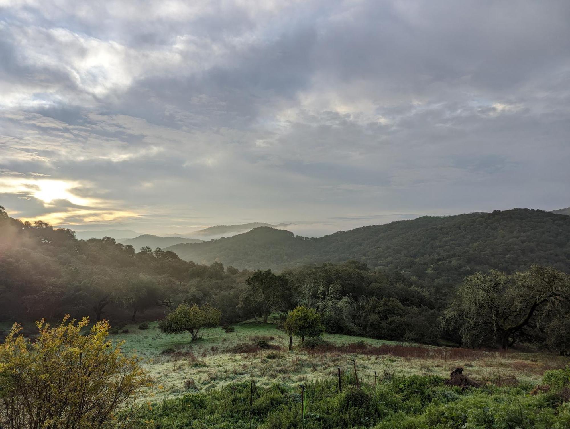 Finca Bravo Cortegana Dış mekan fotoğraf