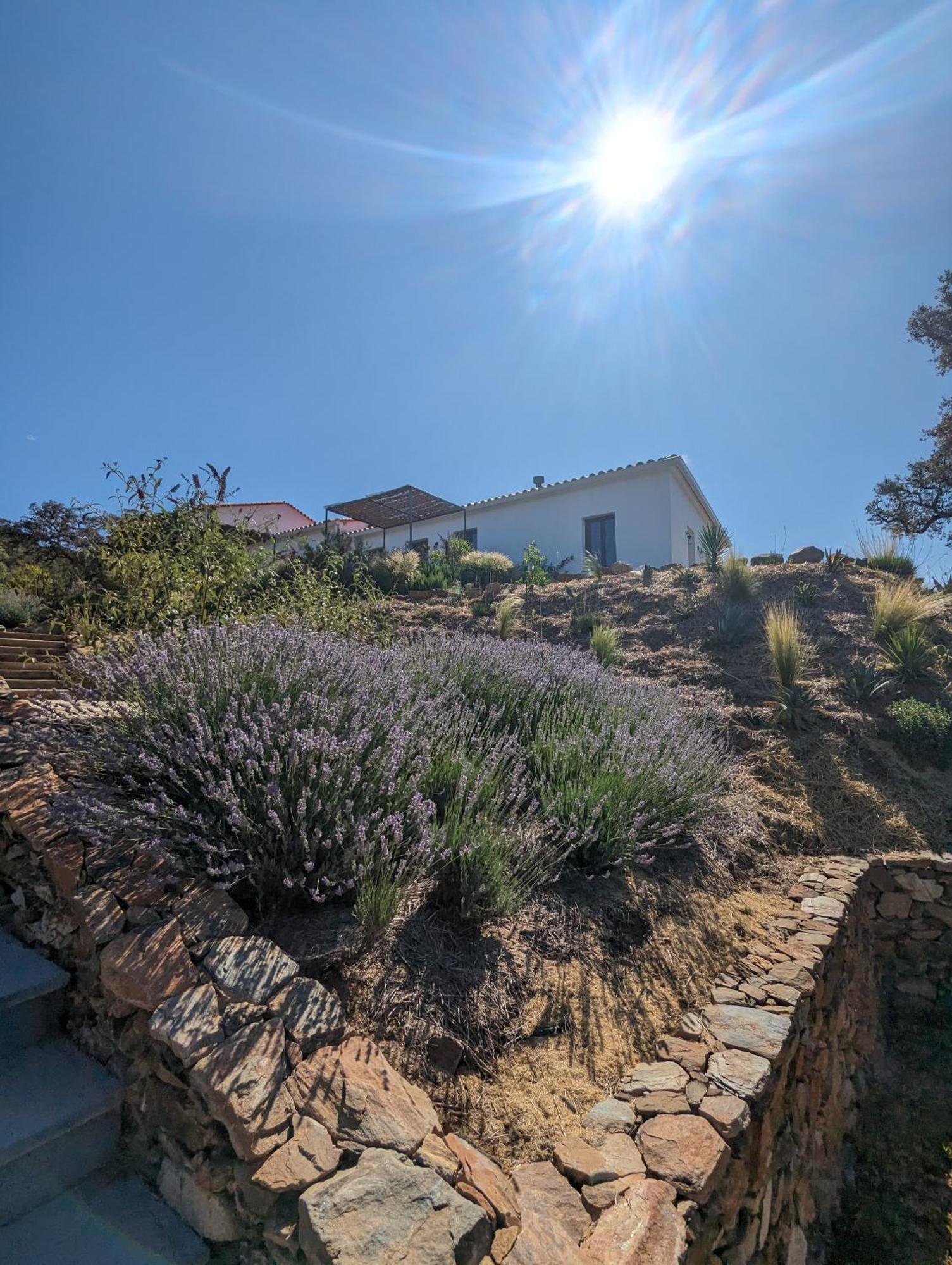Finca Bravo Cortegana Dış mekan fotoğraf